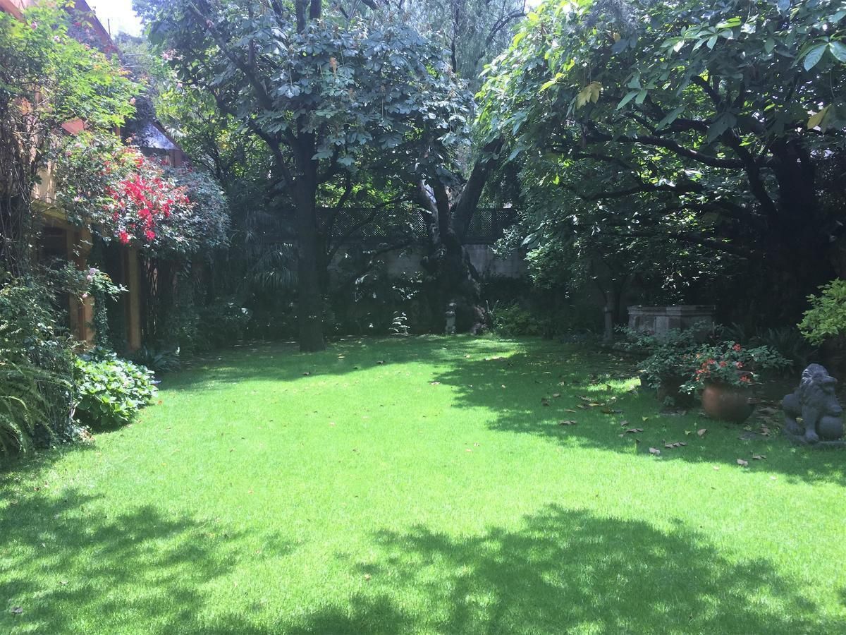 35, Gorostiza, Campestre, 01040 35, Gorostiza, Campestre, 01040
